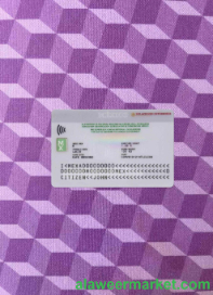 Mexico Consular ID card photolook BACK